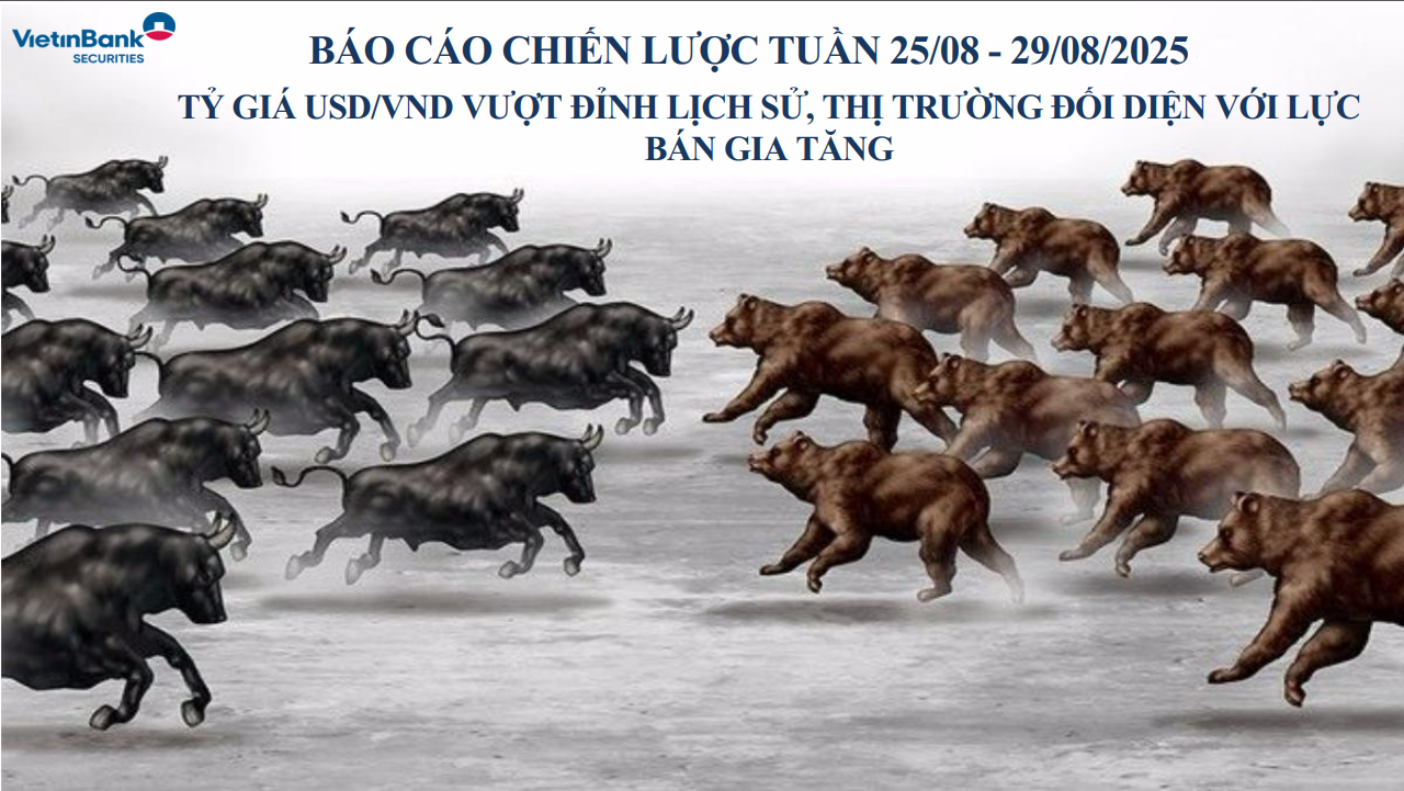 Bản tin chiến lược đầu tư tuần 25.08 – 29.08.2025