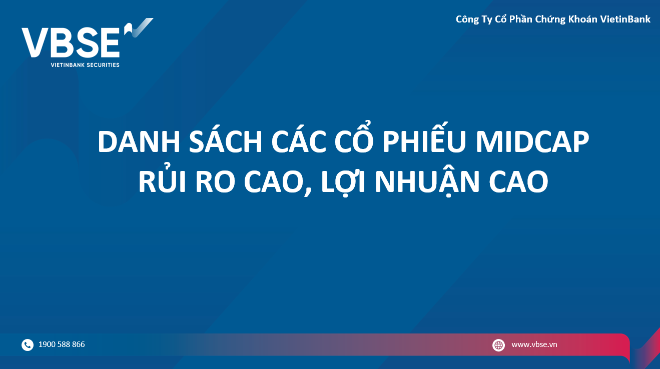 DANH SÁCH CÁC CỔ PHIẾU MIDCAP RỦI RO CAO, LỢI NHUẬN CAO